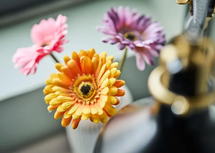 Smarthotel Forus Hotel 3*